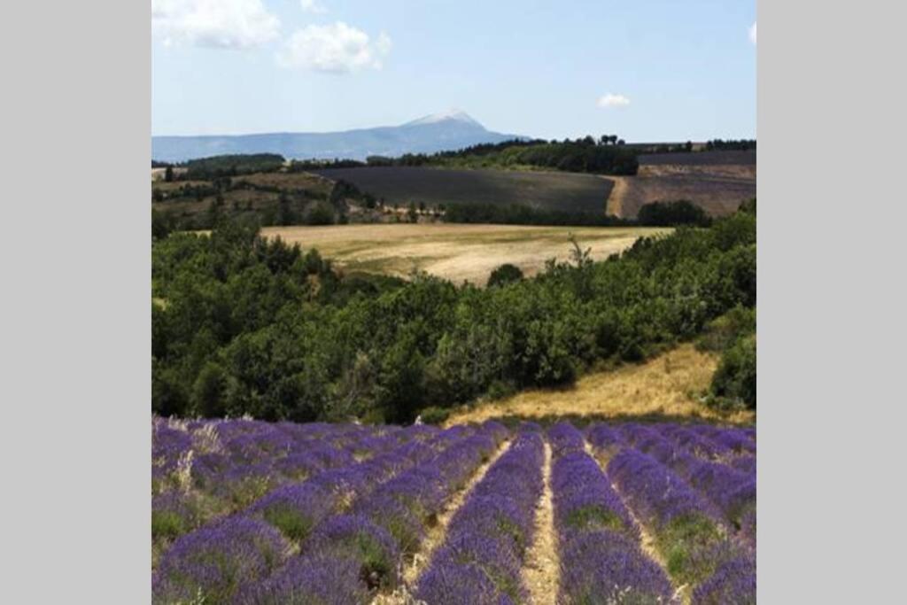 Chambre D Hotes Dans Le Vaucluse Mazan Luaran gambar