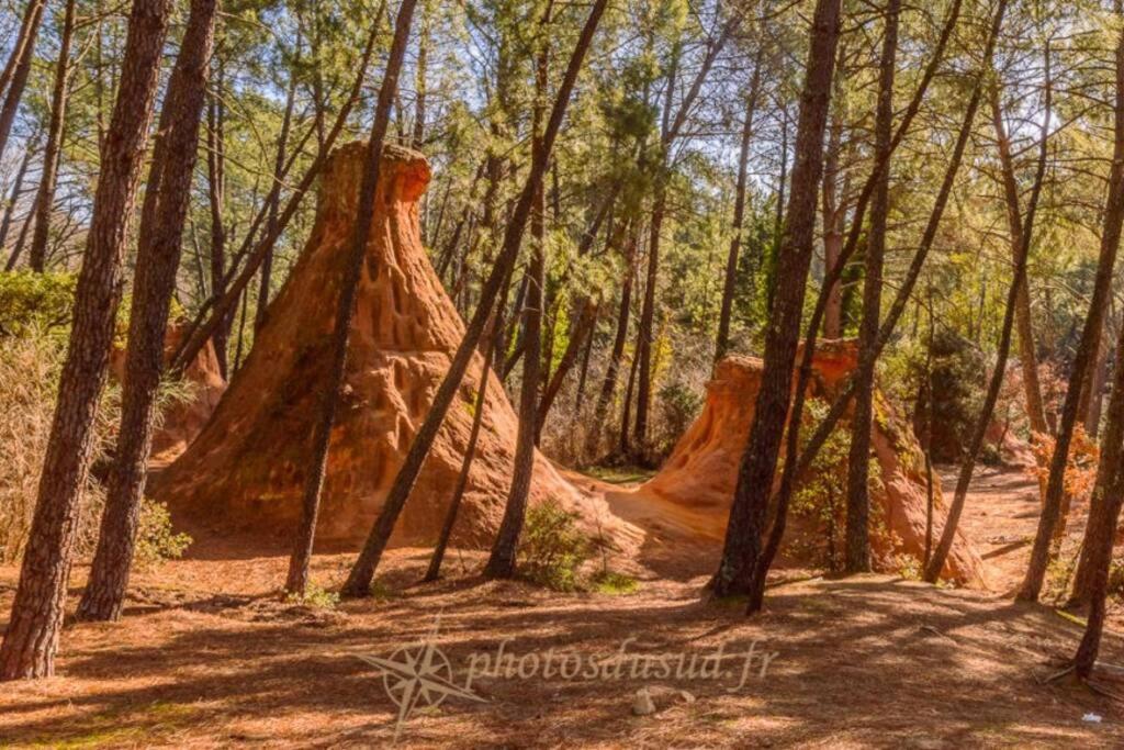 Chambre D Hotes Dans Le Vaucluse Mazan Luaran gambar