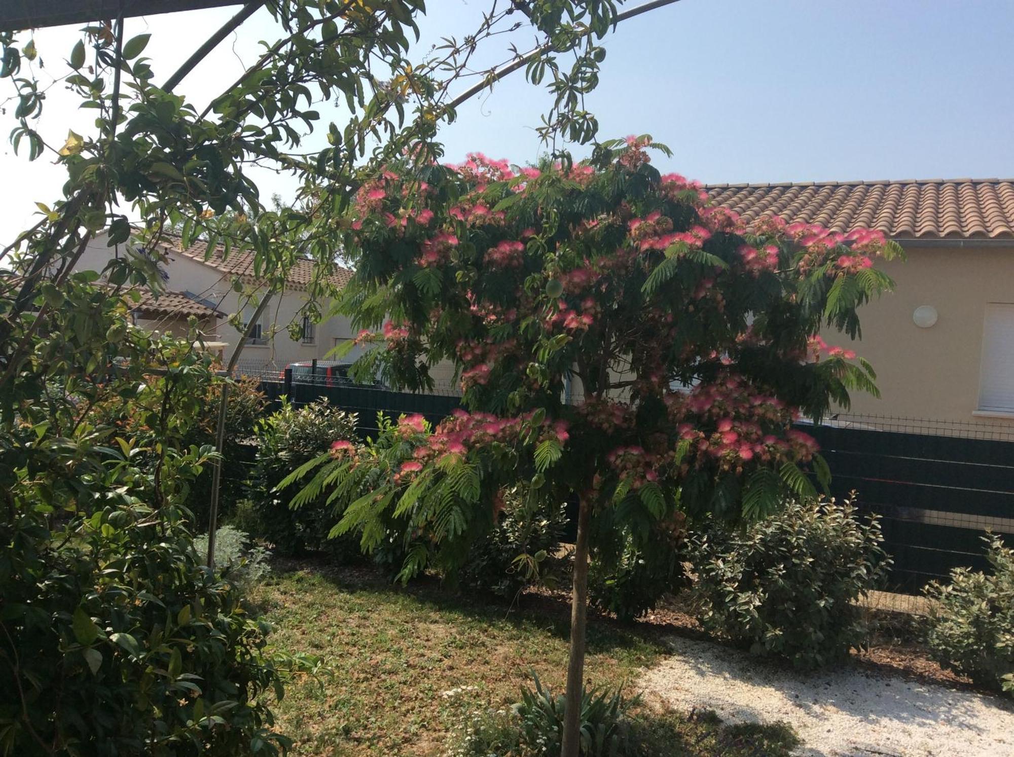 Chambre D Hotes Dans Le Vaucluse Mazan Luaran gambar