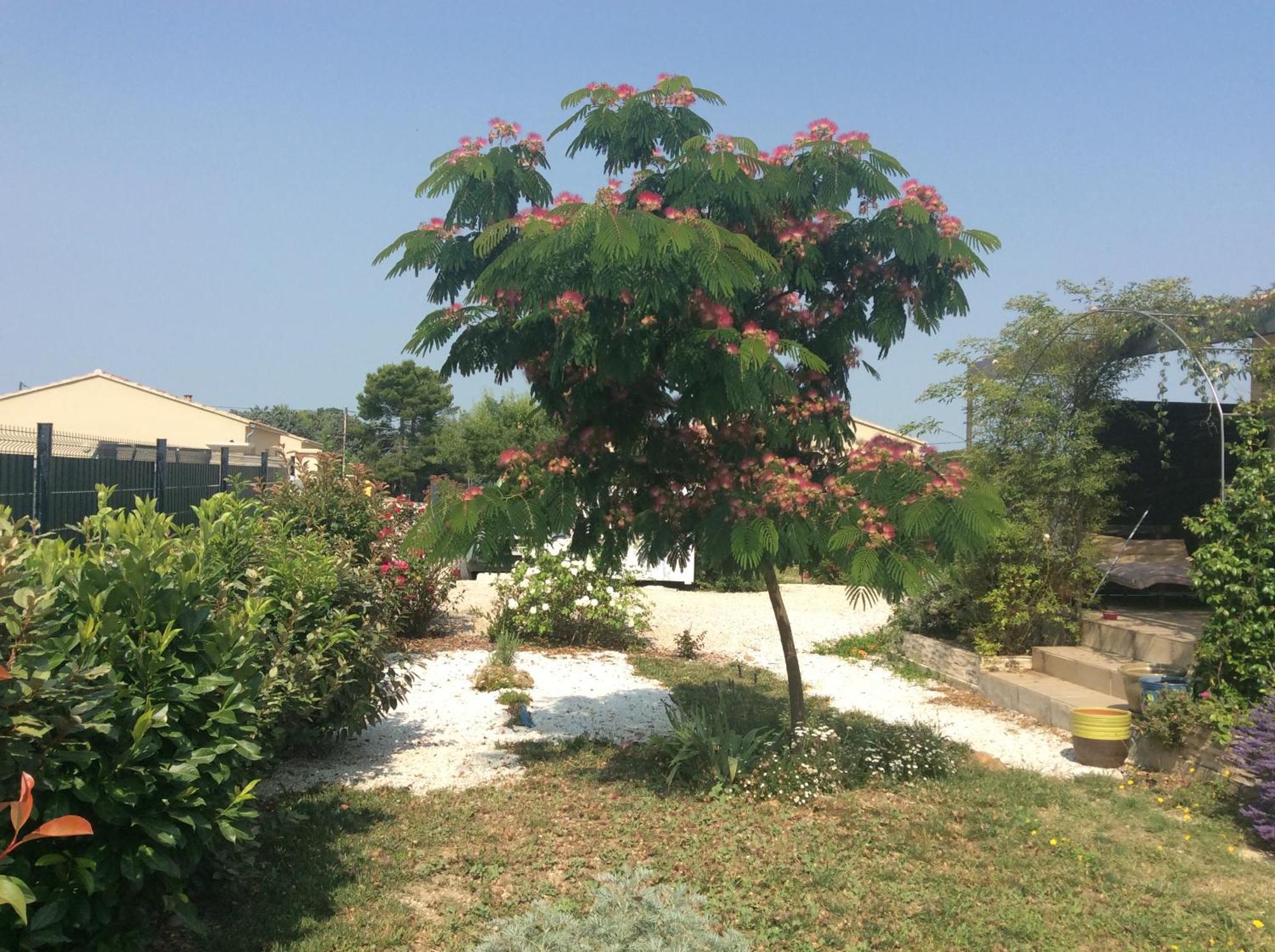 Chambre D Hotes Dans Le Vaucluse Mazan Luaran gambar